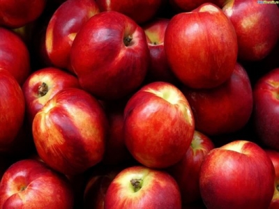 Персики с гладкой кожей - нектарин